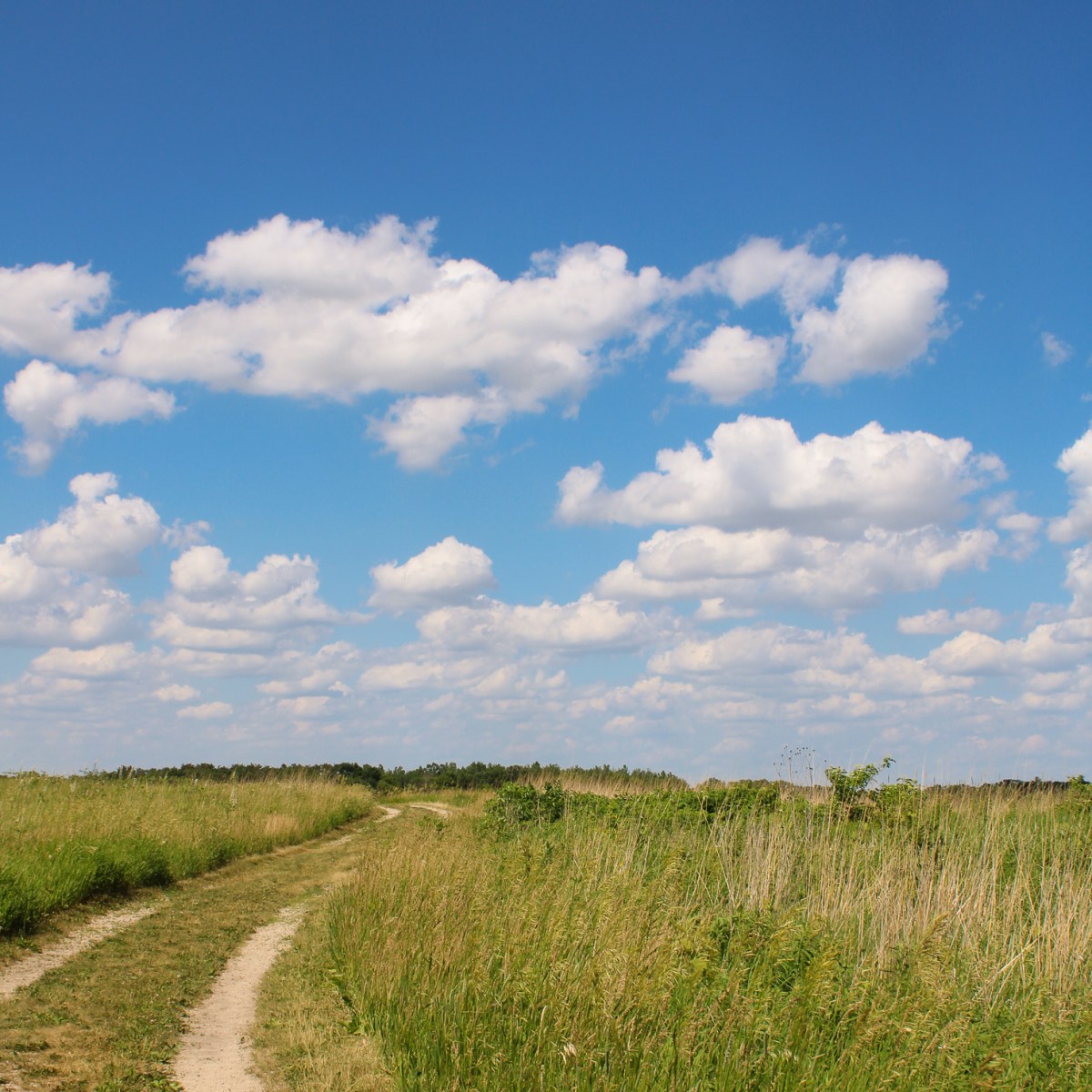 My road back&nbsp;home